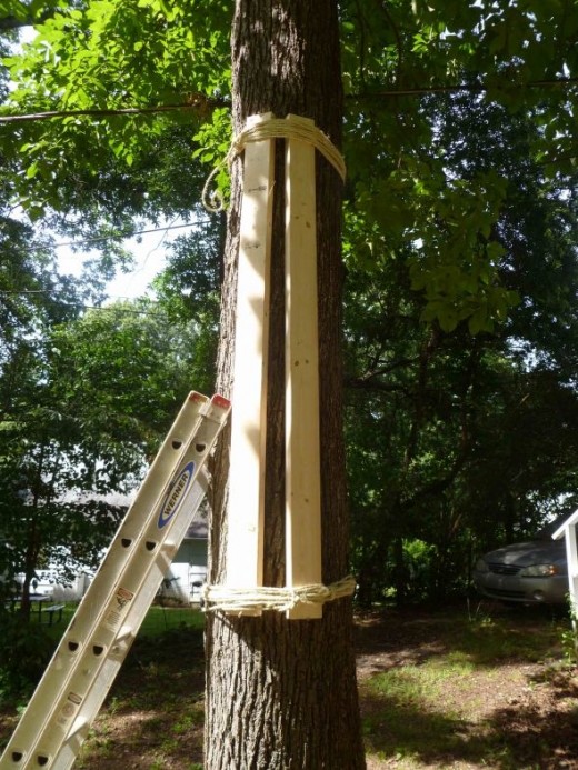 How to Make a Climbing Pegboard for Only 29.05 HubPages