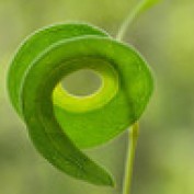 Spirality profile image
