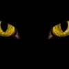 allgoodies profile image
