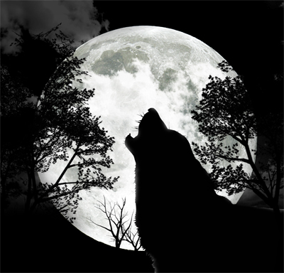 Be The Lone Wolf Again!