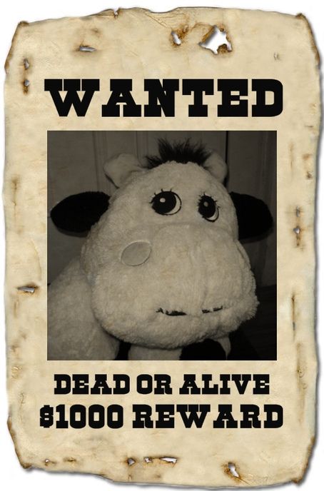 large stuffed animals, stuffed toy, stuffed cow, cow toy, big stuffed animal, giant stuffed cow, huge plush animal,most wanted toy
