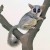 On a thorn tree On a thorn tree