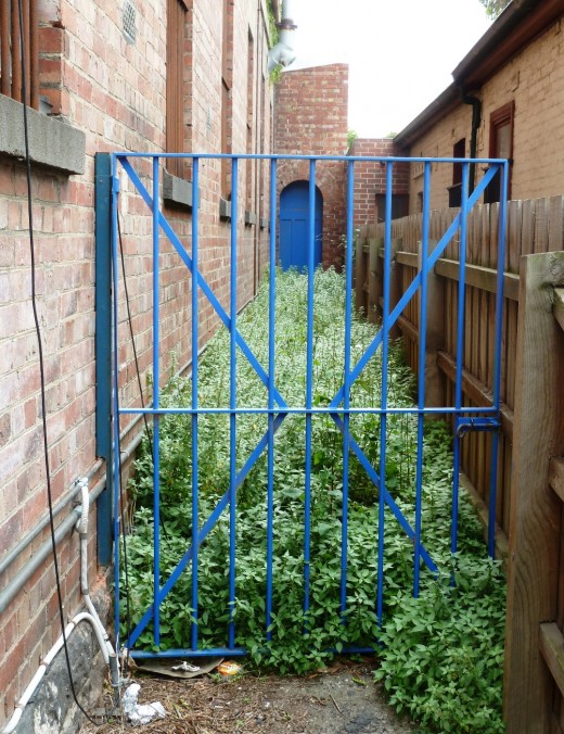photo of blue gate, green grass, lane and blue door