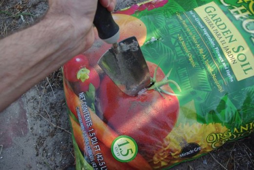 Poke holes in the bag of potting/garden soil.  Conveniently, this bag has a tomato on it.
