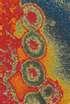 Aids2 virus. Some believe it is a man made virus.      Credit: www.med.harvard.edu