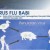 swine flu courtesy RCTI