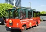 Hollywood Trolley Tour