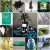 Peacock Themed Wedding - Peacock Reception Accessories Peacock Themed Wedding - Peacock Reception Accessories