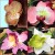 Orchid hair clips come in a variety of styles and colors. Great for adding a touch of the tropics to your vintage-inspired look! Orchid hair clips come in a variety of styles and colors. Great for adding a touch of the tropics to your vintage-inspired look!