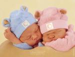 Anne Geddes - 2 Babies