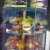 Decorative Showcase, full with big hollow chocolate eggs, filled with little chocolate eggs. Decorative Showcase, full with big hollow chocolate eggs, filled with little chocolate eggs.