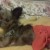 How do you like my sarong? How do you like my sarong?