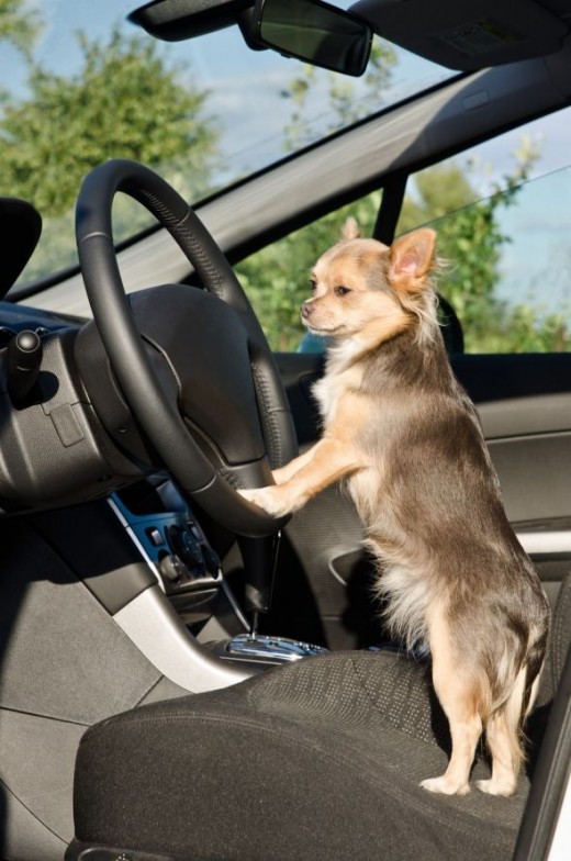 Stay Outta my lane!