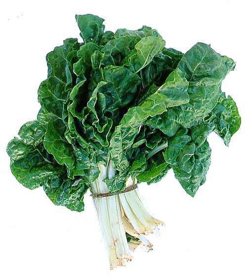 Spinach