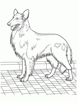 best dog coloring pages