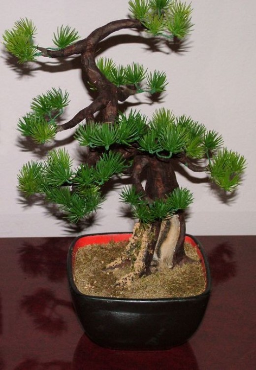 How to make an artificial Bonsai tree hubpages