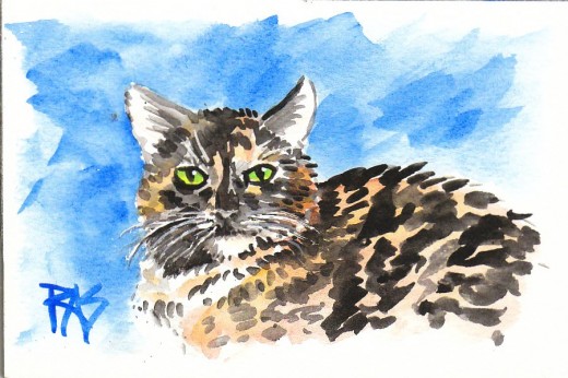 A Little Busy -- portrait of dupliKate's cat Busy in watercolor by Robert A. Sloan, reference posted in Weekend Drawing Event challenge on WetCanvas.com by dupliKate.