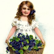 May Flowers profile image