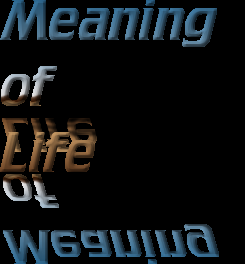 What is the True Meaning of Life