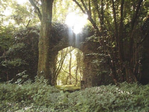 Archway at the ruin of Llan Gibby Castle hidden in the woods.Once home to a battalion of 60 troops.