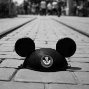 mousemisers profile image