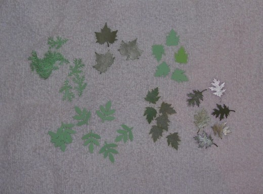 A few of the leaf types.  There are many variations. Some are quite large and these are suitable for a single large flower or two.