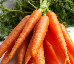 vitamins B6 and C, potassium, and thiamine.   Carrots have a large amount  of antioxidant compounds. Those compounds help fight cardiovascular disease and cancer.  