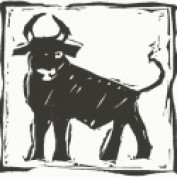 ploverwing profile image