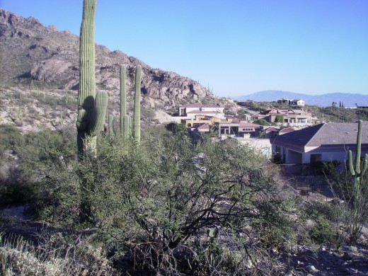 Homes next to Finger Rock Trail Head