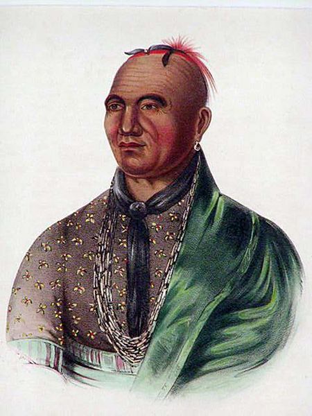 Completely bald, with feathers.