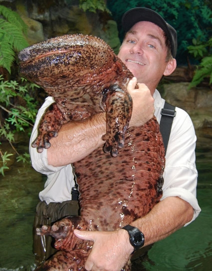 Dr. Brady Barr with a Giant Salamander!