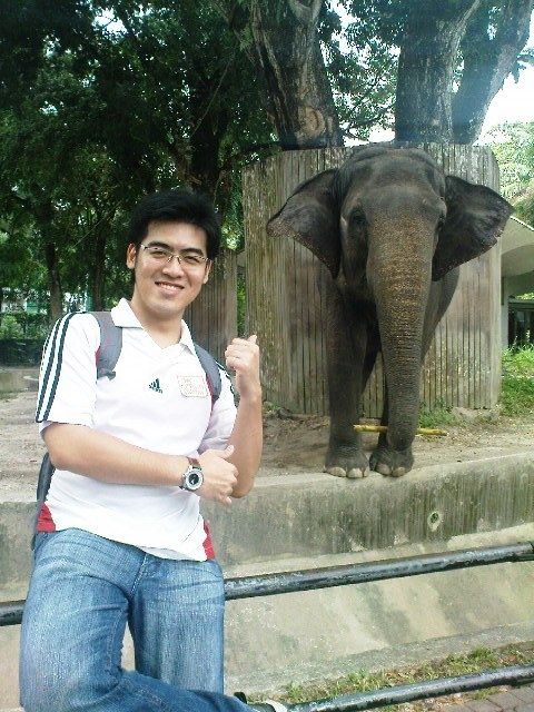 Check out my buddy here, the Malaysian Elephant!