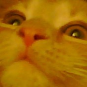 CryMeARiver profile image