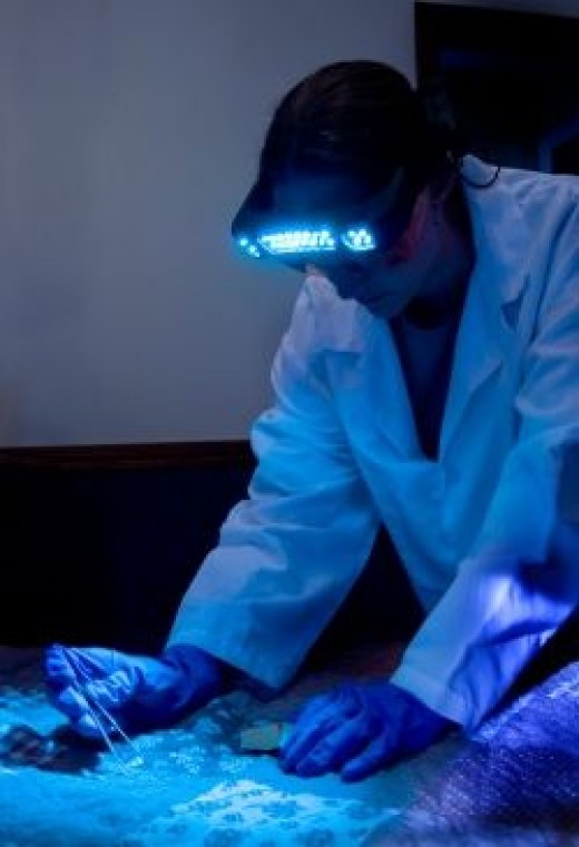 Finding Forensic Evidence Using Lights HubPages
