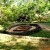 The garden of the Sigiriya fortress The garden of the Sigiriya fortress