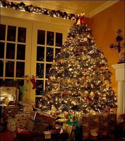 Beautiful Christmas Tree!