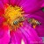 photo credit dreamstime.com photo credit dreamstime.com