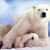 A polar bear with cub, how adorable can it be!
Photo credit animalszooguru.blogspot.nl A polar bear with cub, how adorable can it be!Photo credit animalszooguru.blogspot.nl