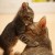Mom I love you!
Photo credit animalszooguru.blogspot.nl Mom I love you!Photo credit animalszooguru.blogspot.nl