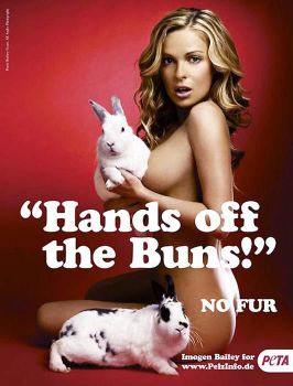 PETA Is Known For The Drastic Measures They Take To Get Their Message Out To The Public