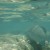 I love shots of the surface, the coral and a fish. I love shots of the surface, the coral and a fish.