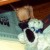 She loves to play with Fuzzy Cow. She loves to play with Fuzzy Cow.