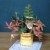 Theme - Miniature - Must be less than 10cm (4") overall Theme - Miniature - Must be less than 10cm (4") overall