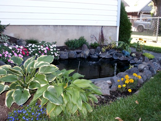 Small Fish Pond