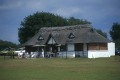 What Is It About Cricket