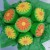 This cupcake bouquet was made to look like a bouquet of daisies, very unique. This cupcake bouquet was made to look like a bouquet of daisies, very unique.