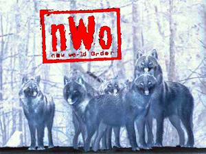 NWO Wolfpack Logo