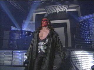 Sting In The NWO Wolfpack