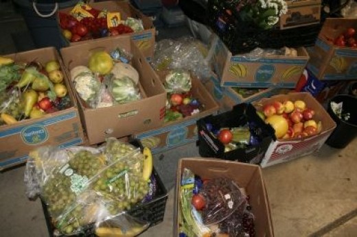 SECRET FREEGAN: Rescuing Food To Feed Homeless