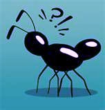 "Go to the ant, thou sluggard; consider her ways, and be wise." -- Bible (Old Testament)      